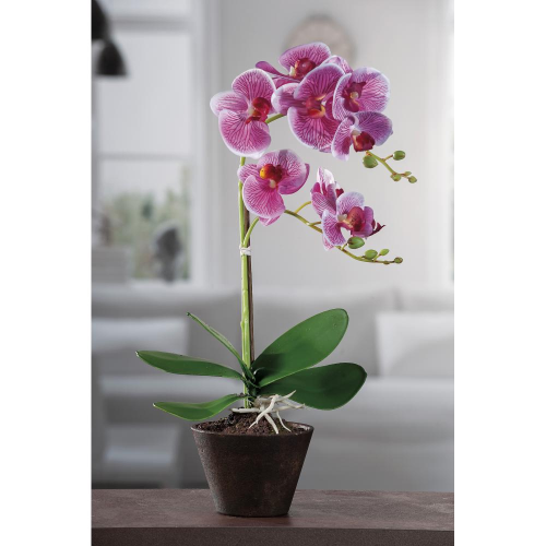 Vaso C/Orchidea 9F A4C Diam14Xh46