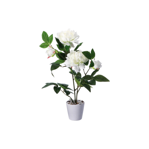 Vaso con Peonia finta Ass 4 colori D12Xh58