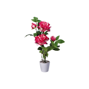 Vaso con Peonia finta Ass 4 colori D12Xh58