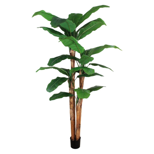 Banano in Vaso per Decorazione D.20xH.280 cm