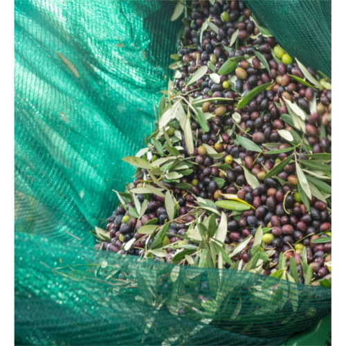 Rete per olive antispina 32g 8x8 MT C/spacco con occhielli