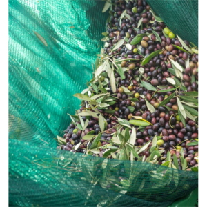 Rete per olive antispina 32g 8x8 MT C/spacco con occhielli