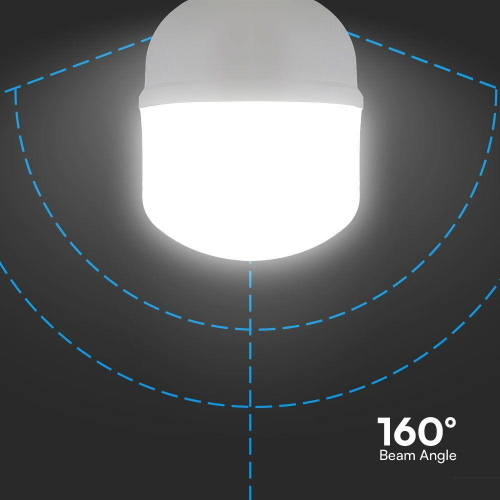 Lampadina 40w e27 t120 6500k   con adattatore e40