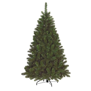 Albero Dakota Verde H240 