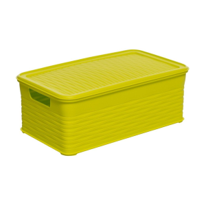 Box scatola 3,9 LT multiuso verde con coperchio