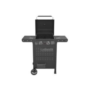 C Barbecue A Gas 2 Fuochi Hot 2