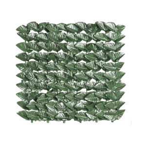 Siepe Sempreverde Lauro  1 X3